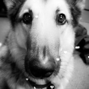 Meet your Posher, Sandi